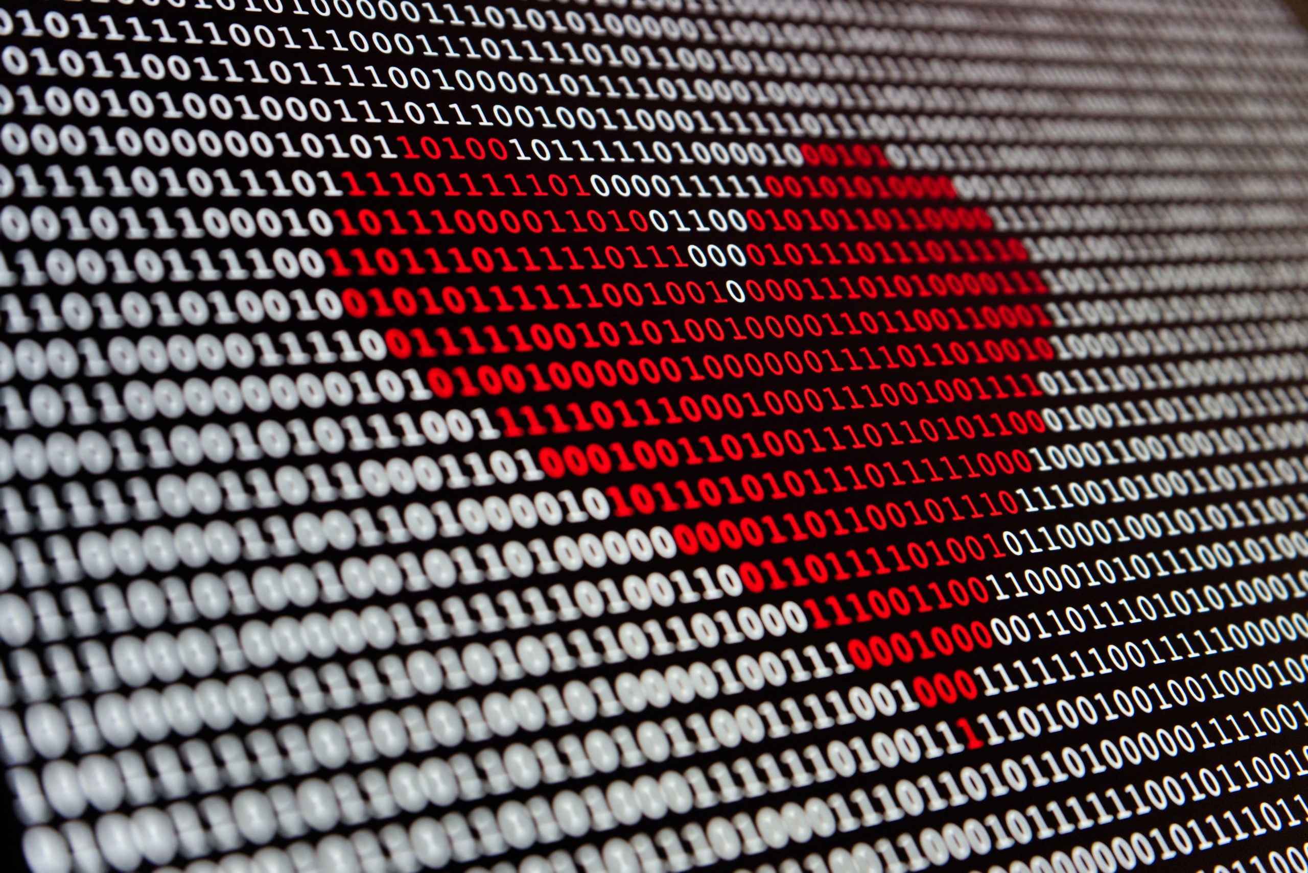 Digital Heart Image Binary