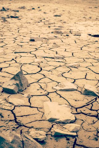 dry cracked land