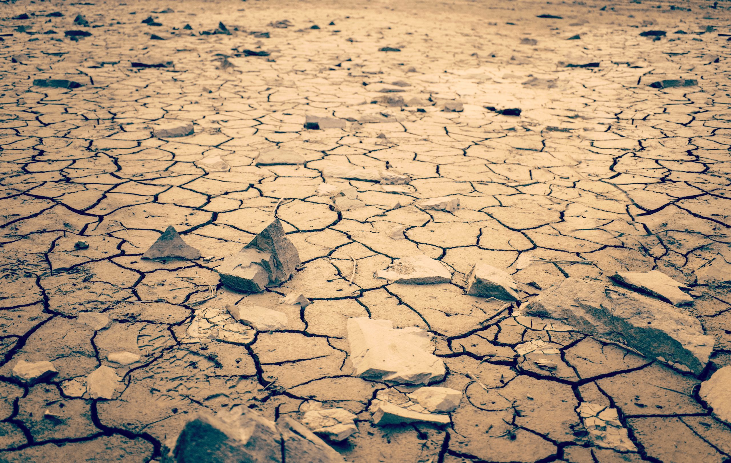 dry cracked land