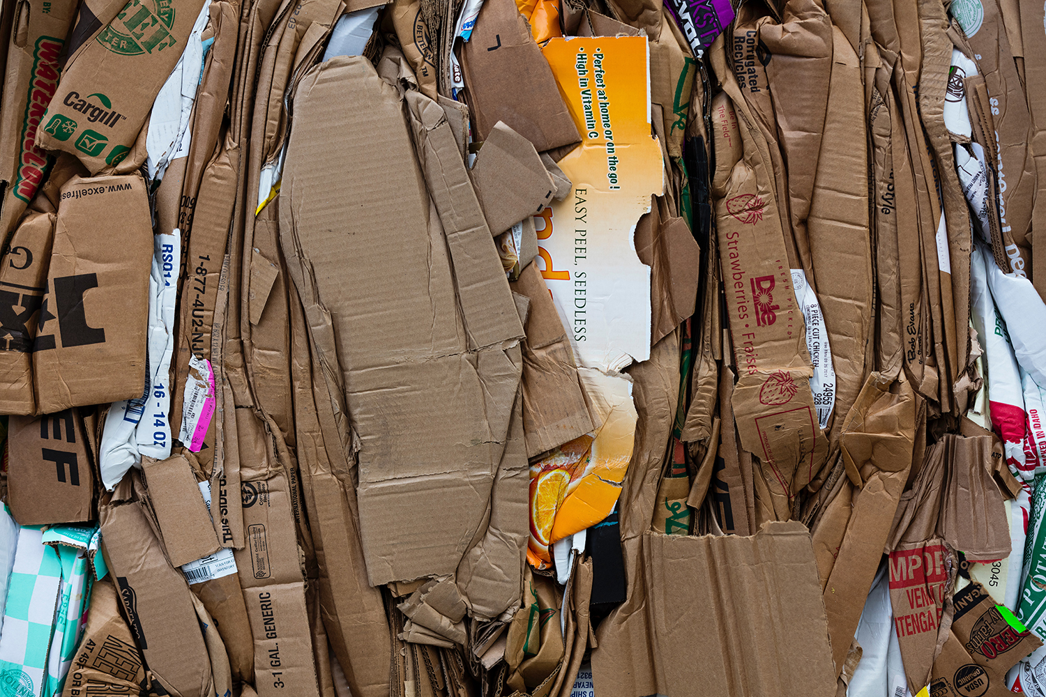 recycled cardboard - circular economy