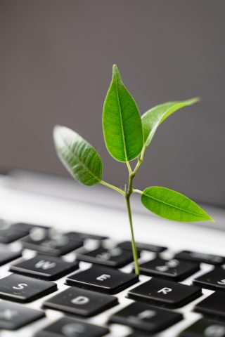 computer with plant - sustainable reporting