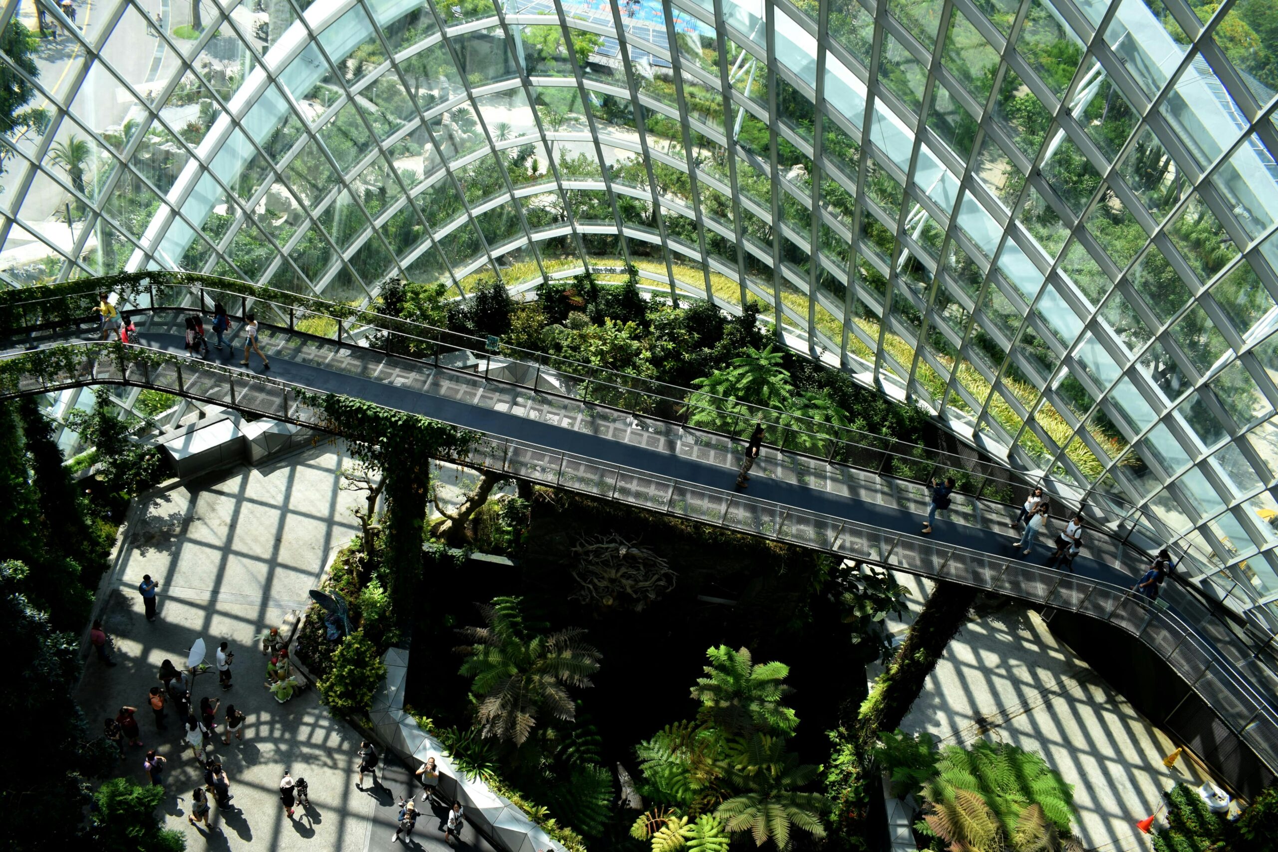 glass office building with trees - Corporate Sustainability Goals