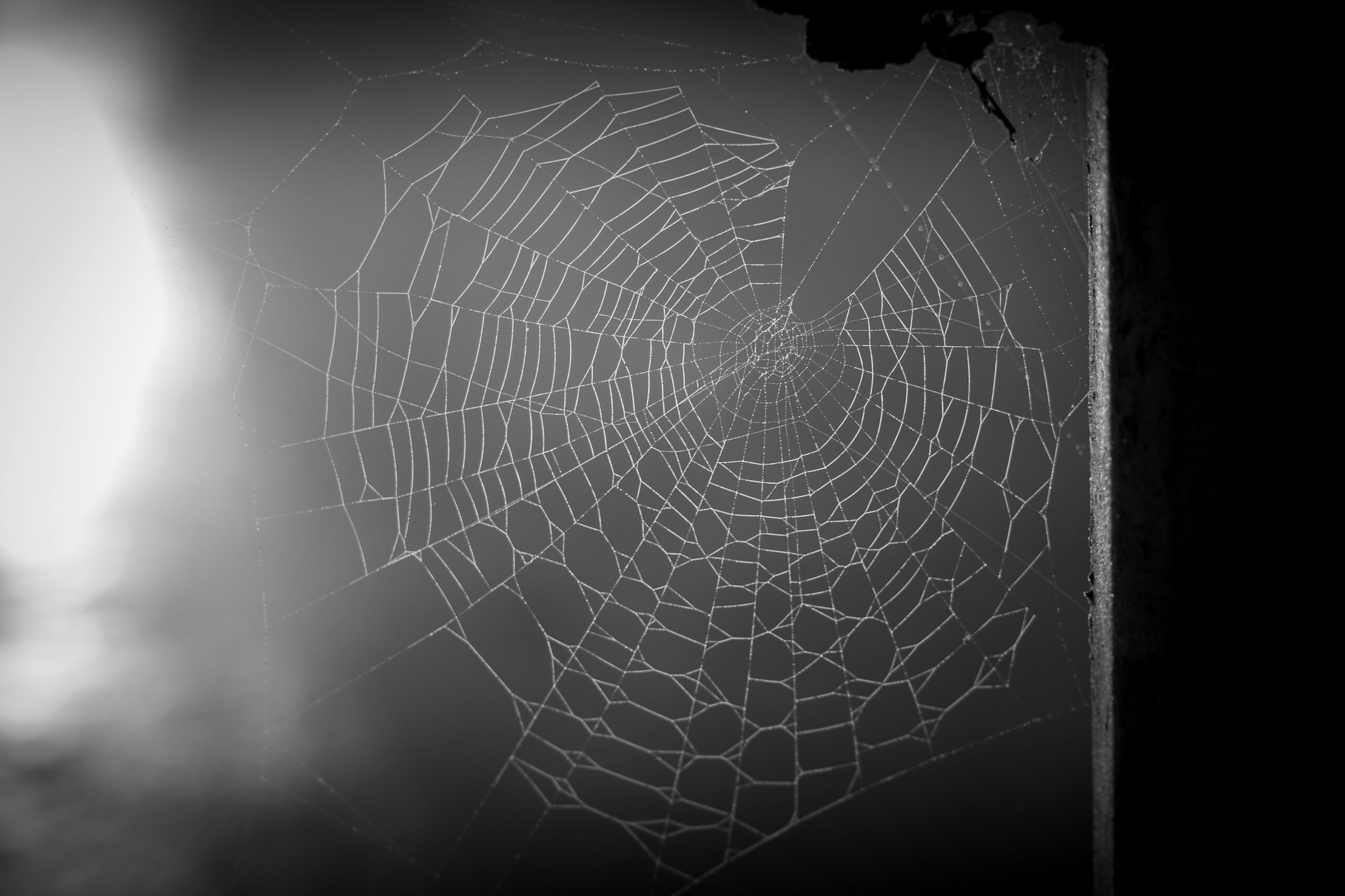 Spiders Web - Circular supply chains