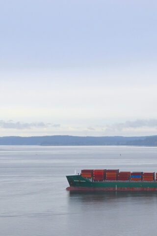 cargo ship on water - supply chain sustainability