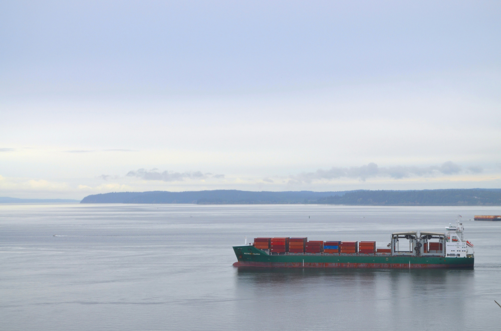 cargo ship on water - supply chain sustainability